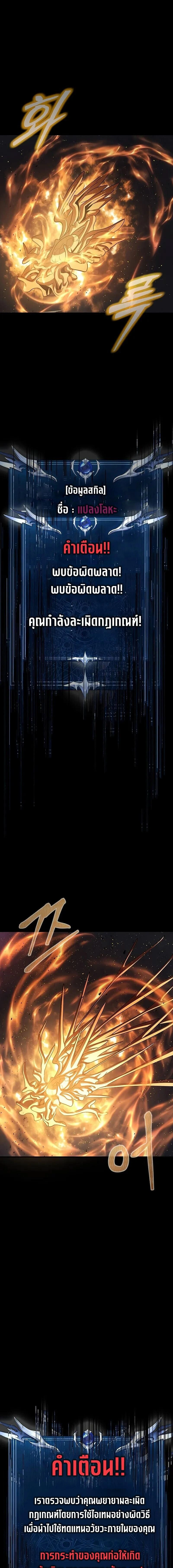 หน้าที่ 29