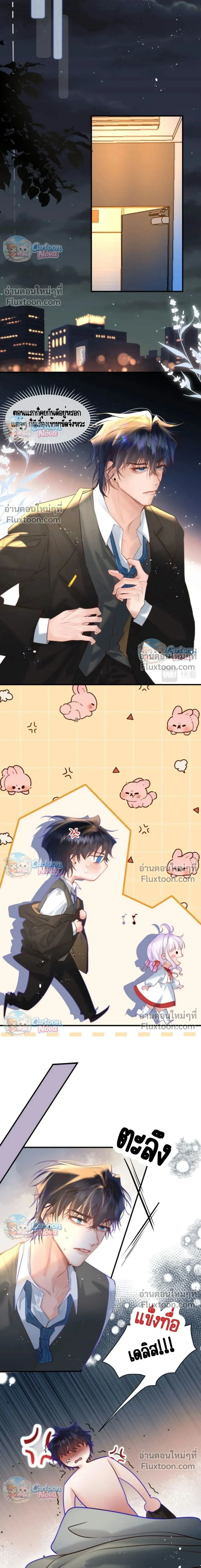 หน้าที่ 11