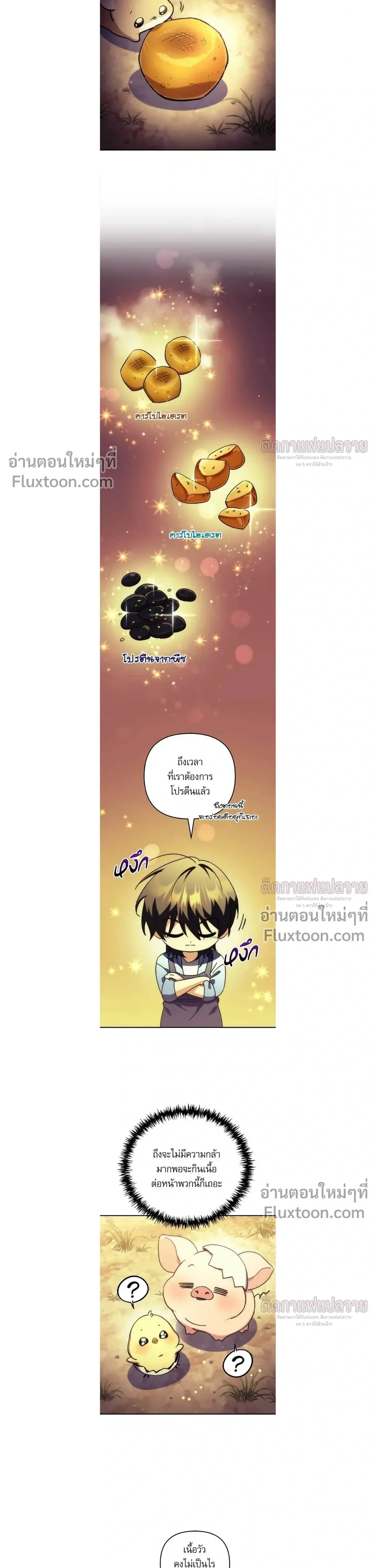 หน้าที่ 3