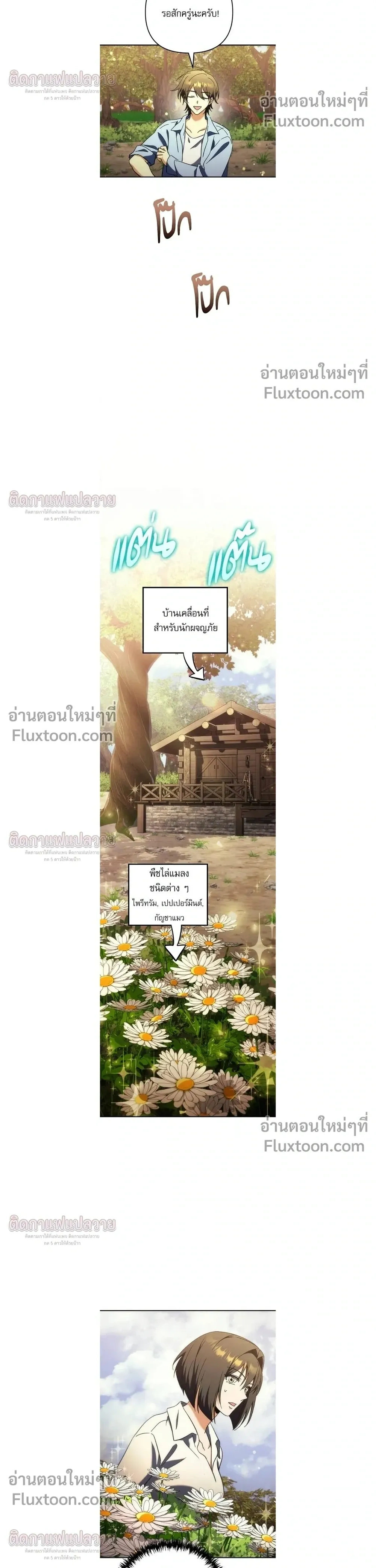 หน้าที่ 13
