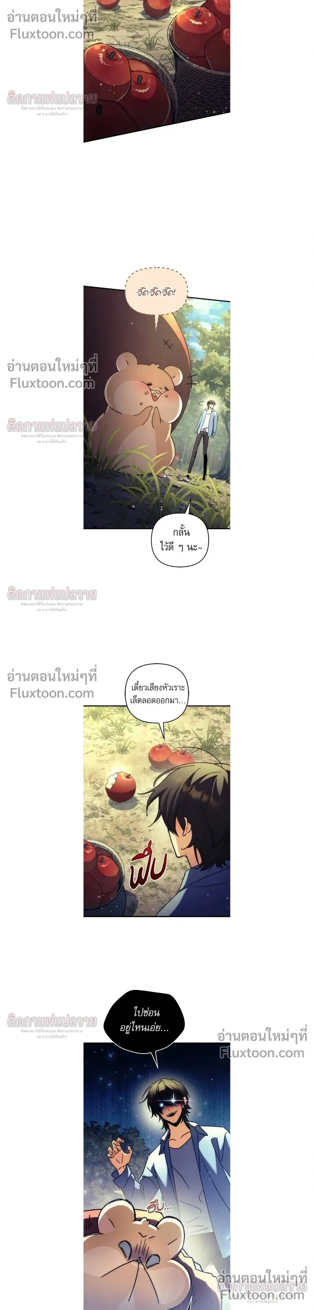 หน้าที่ 17
