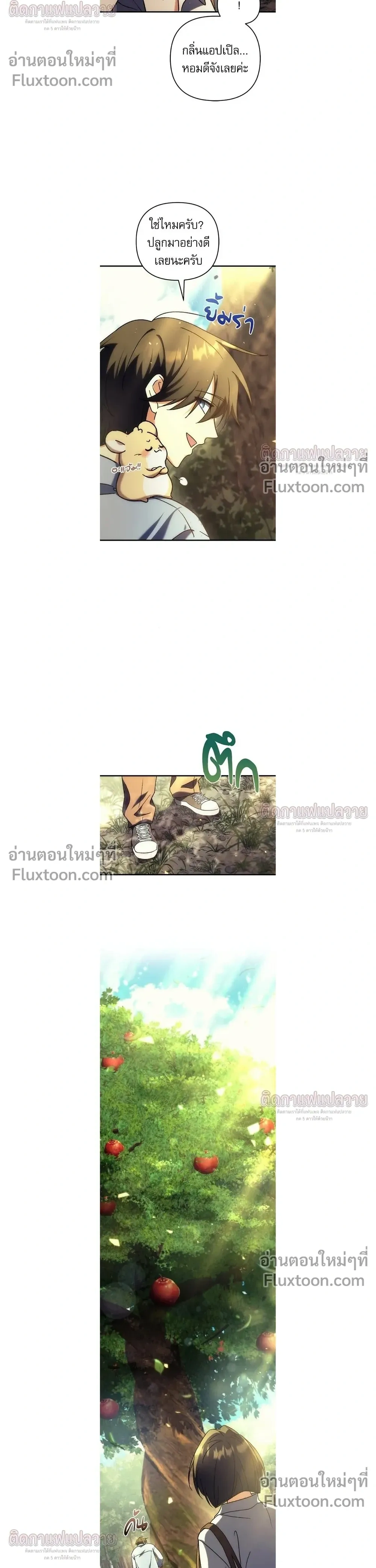 หน้าที่ 11