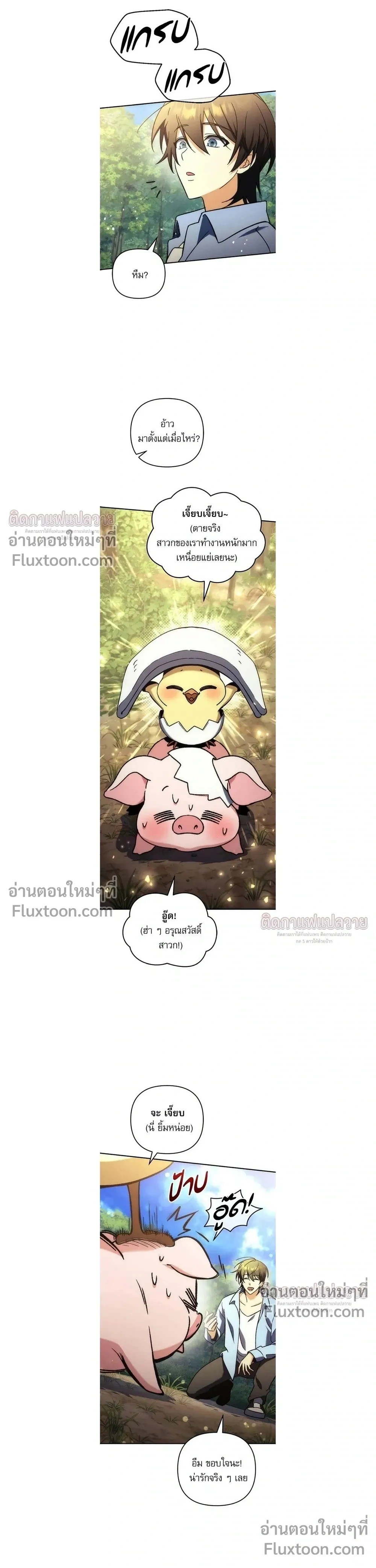 หน้าที่ 13