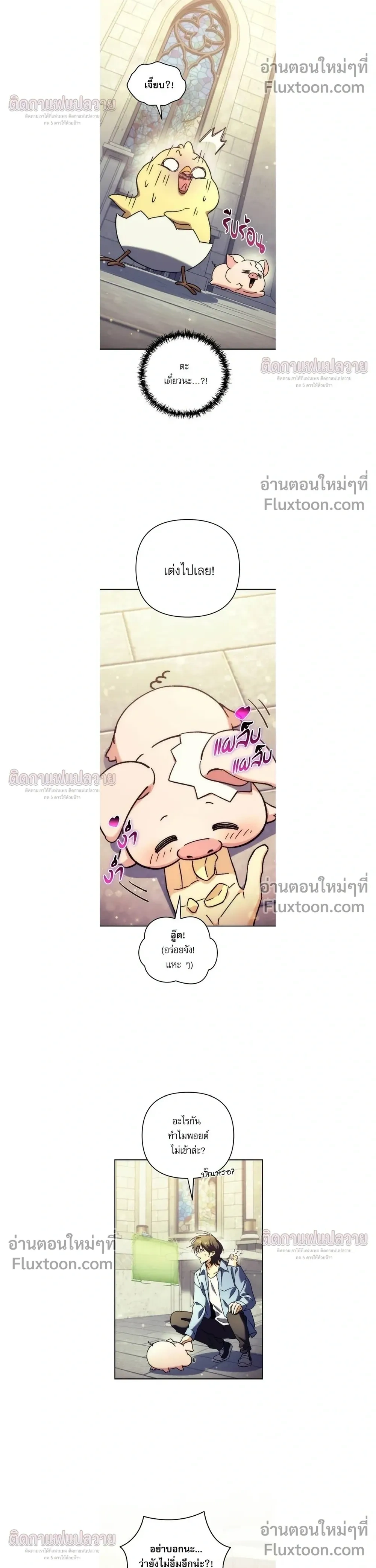 หน้าที่ 17
