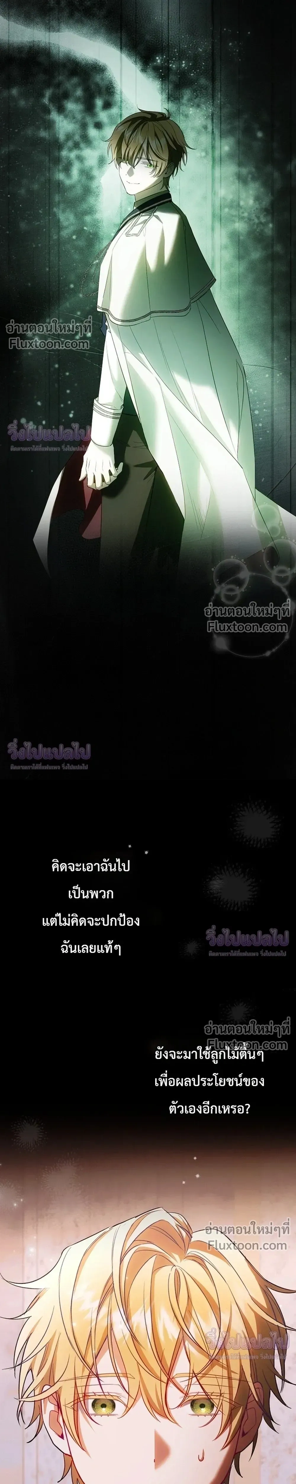 หน้าที่ 13