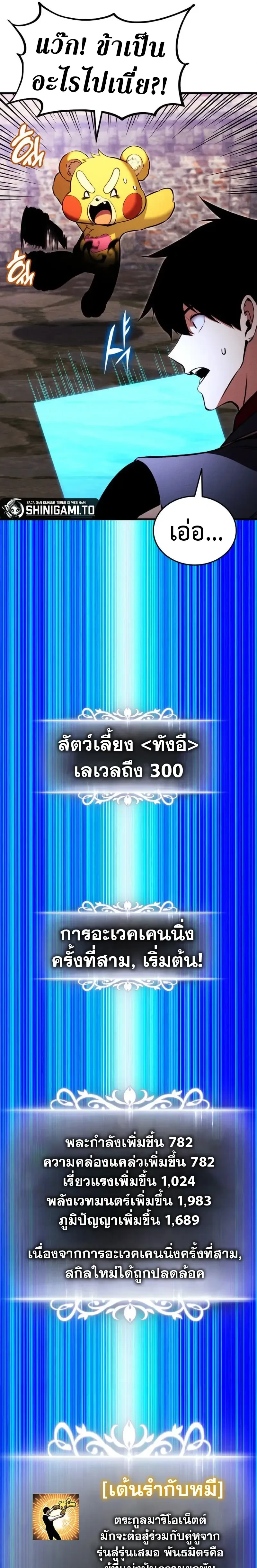 หน้าที่ 3