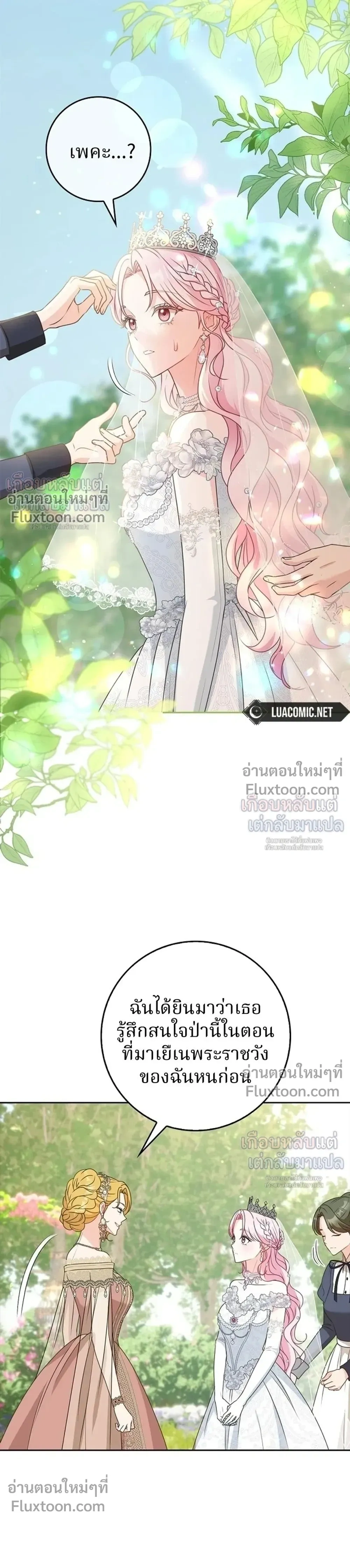 หน้าที่ 31