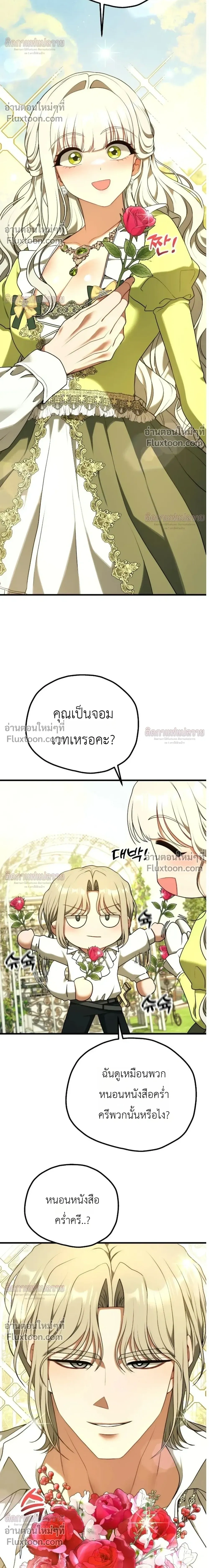 หน้าที่ 29