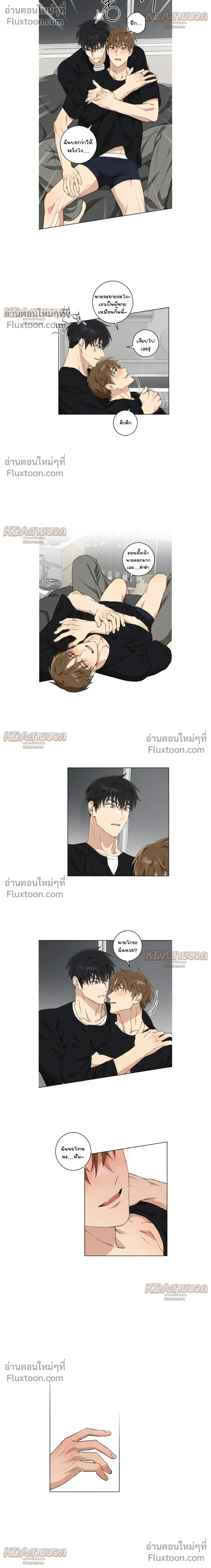 หน้าที่ 13