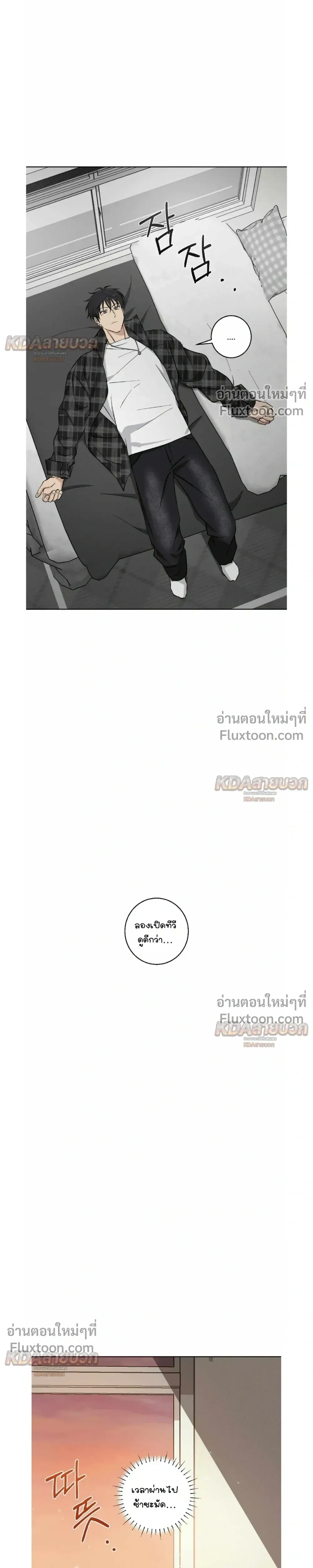 หน้าที่ 13