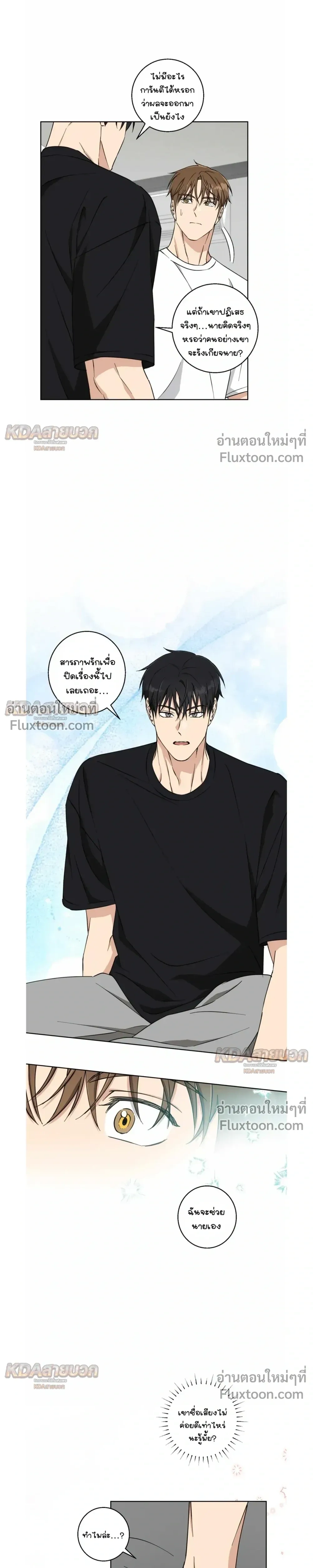 หน้าที่ 13
