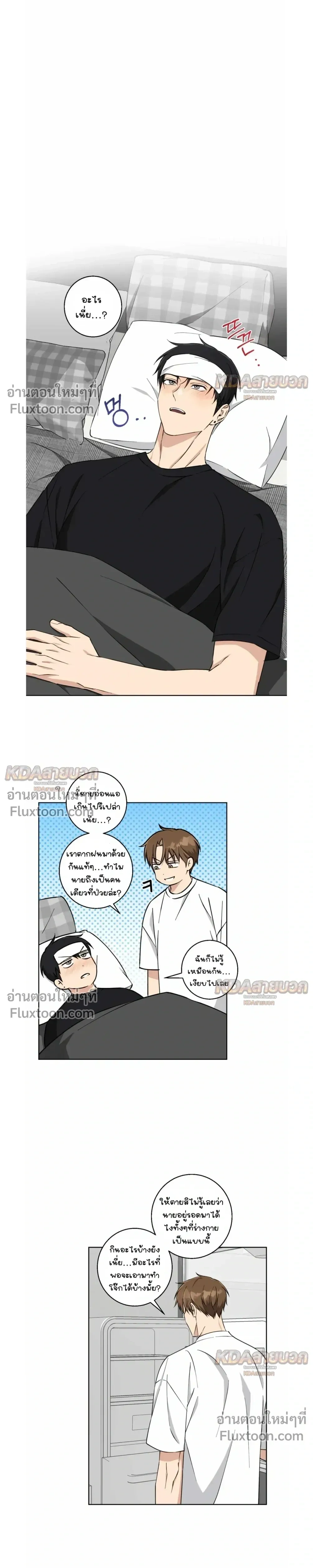 หน้าที่ 17