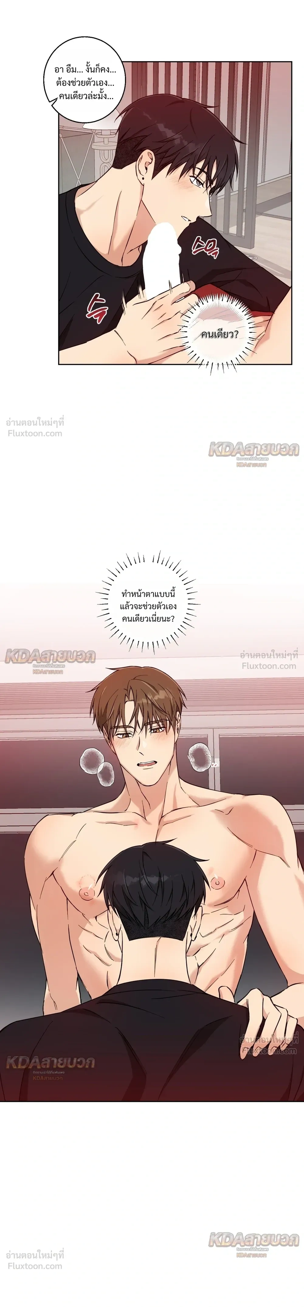 หน้าที่ 17
