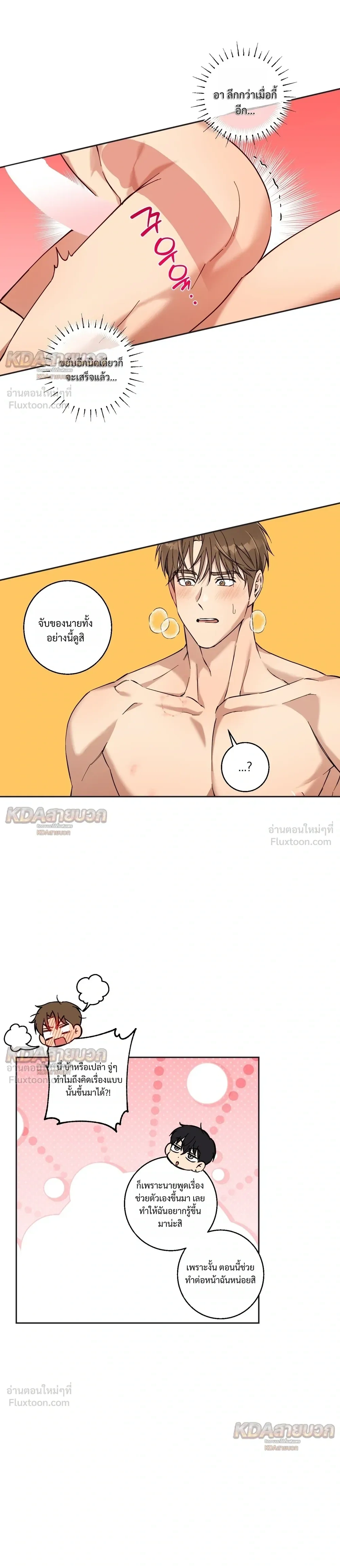 หน้าที่ 13