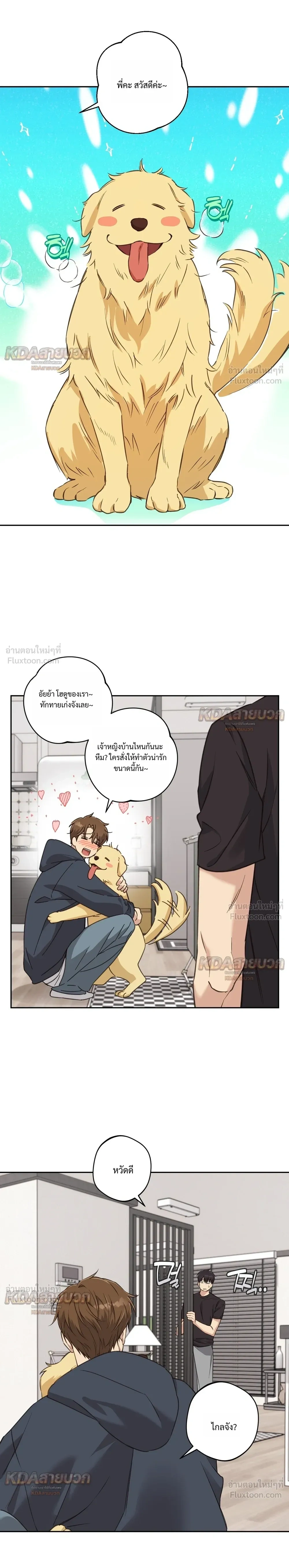 หน้าที่ 5