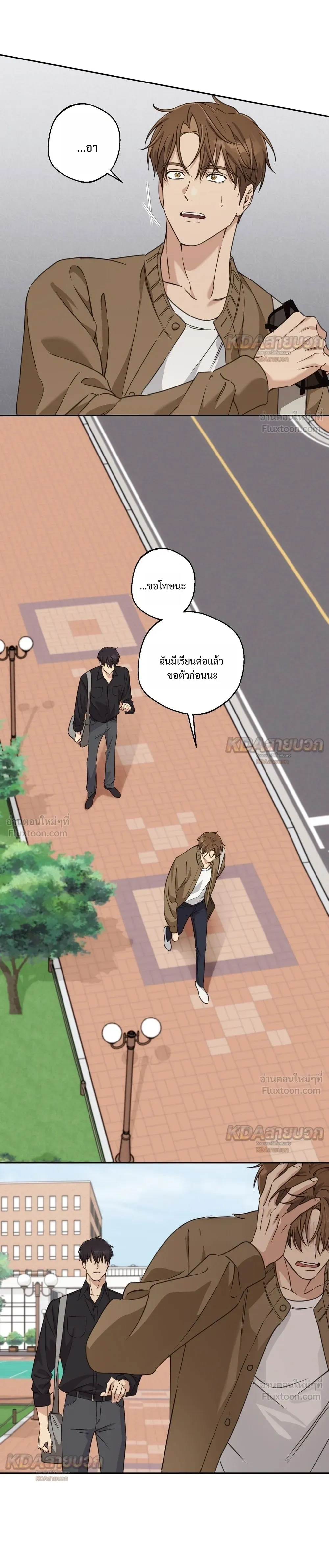 หน้าที่ 13