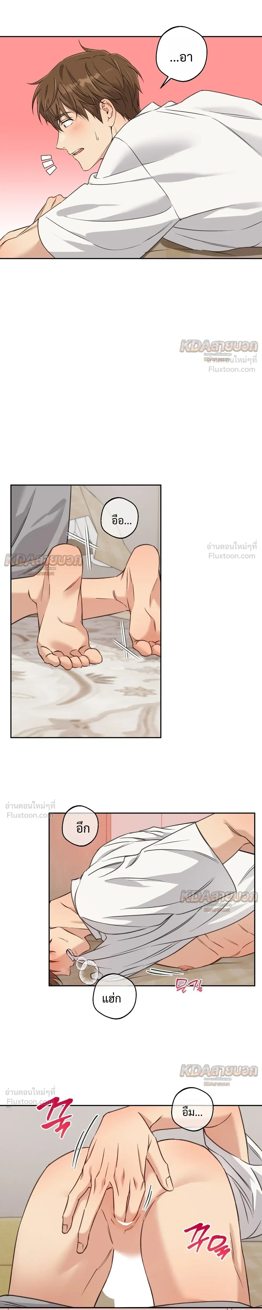 หน้าที่ 12