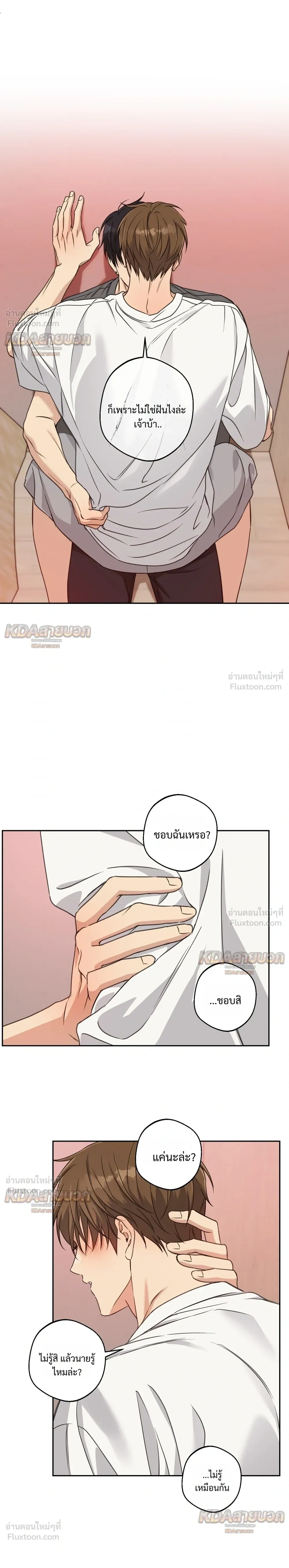 หน้าที่ 13