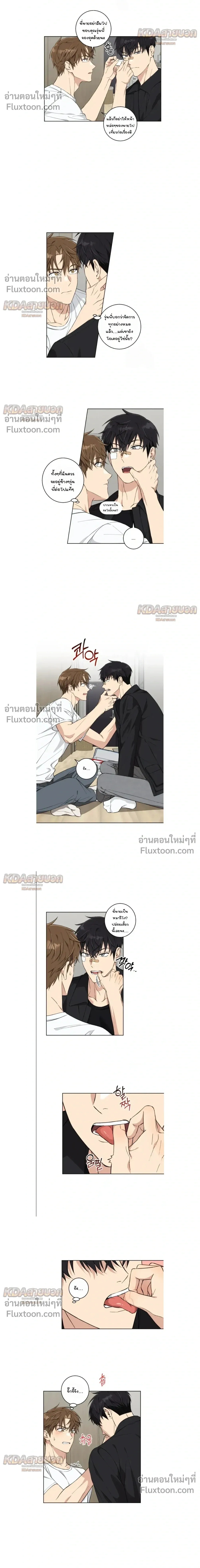 หน้าที่ 13