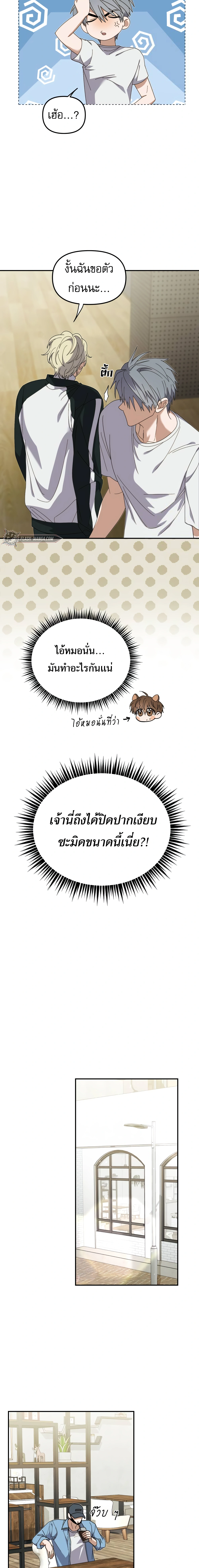 หน้าที่ 13