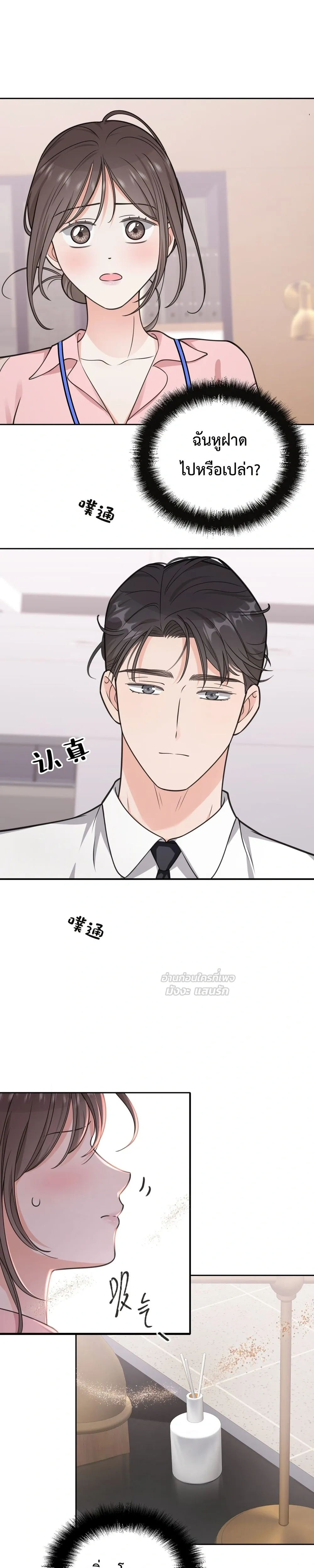หน้าที่ 17