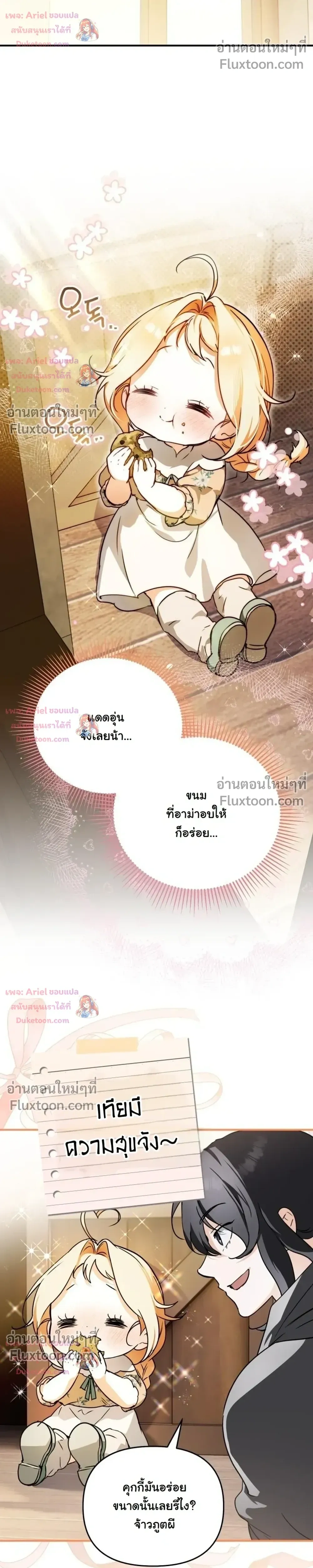 หน้าที่ 17