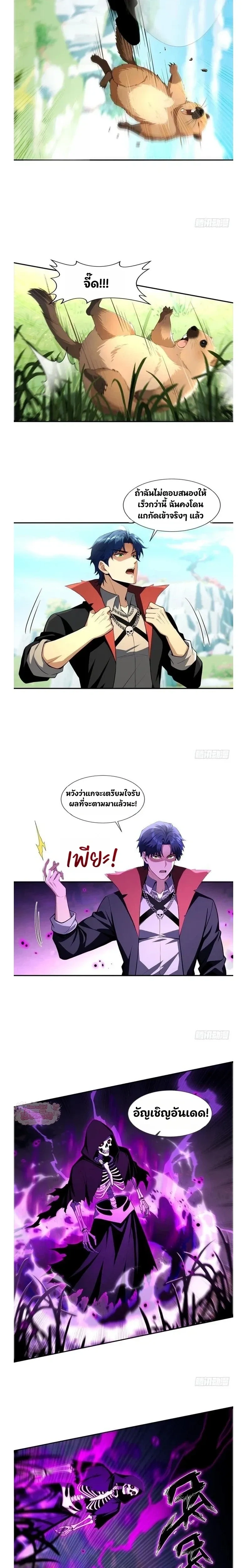 หน้าที่ 13