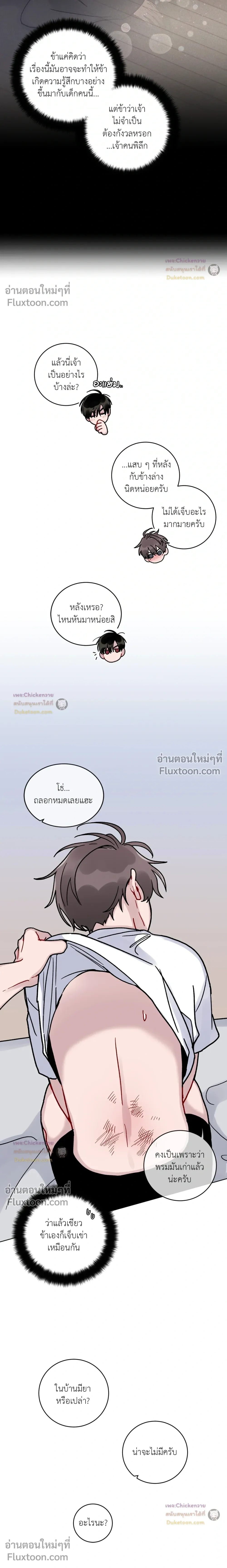 หน้าที่ 13