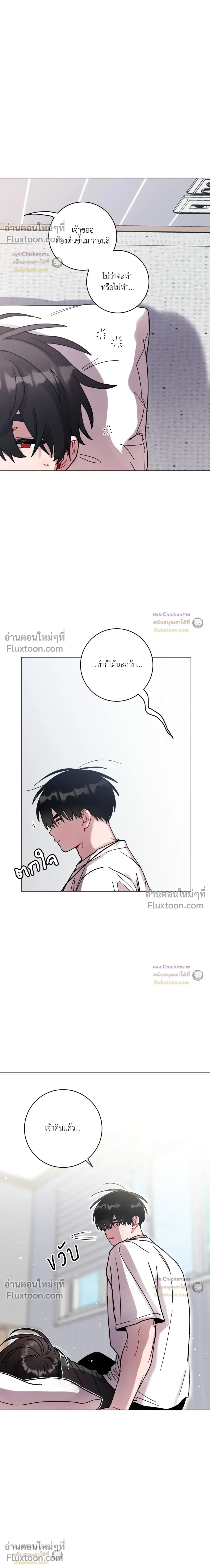 หน้าที่ 11