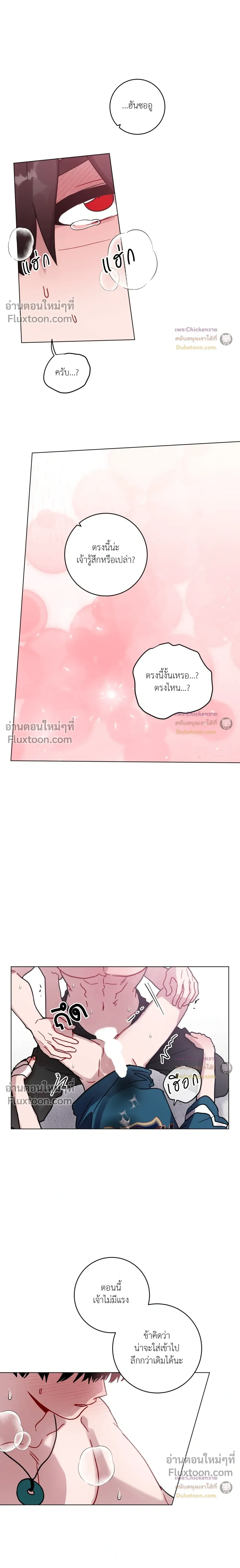 หน้าที่ 17