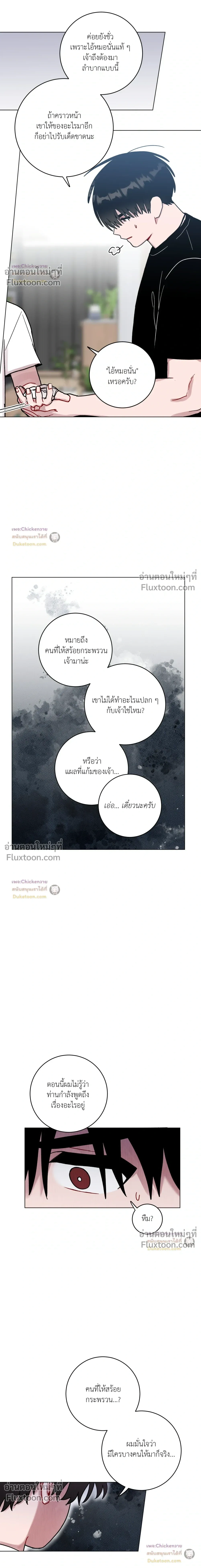 หน้าที่ 17