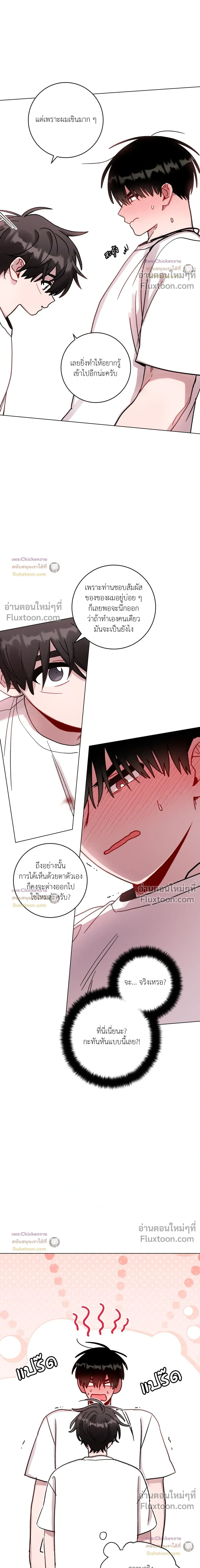 หน้าที่ 13