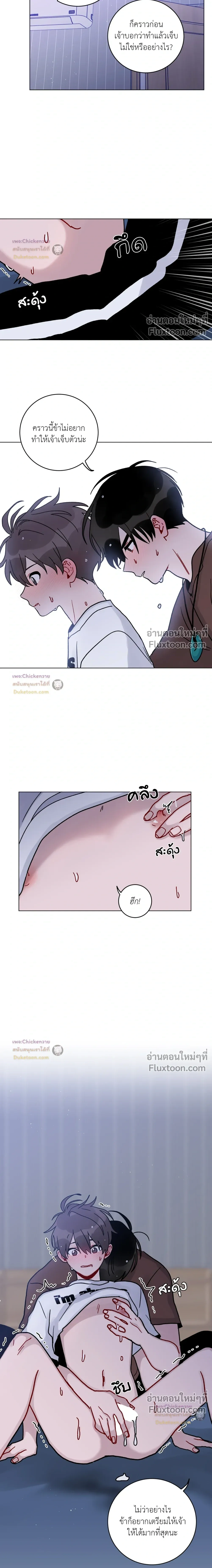 หน้าที่ 13