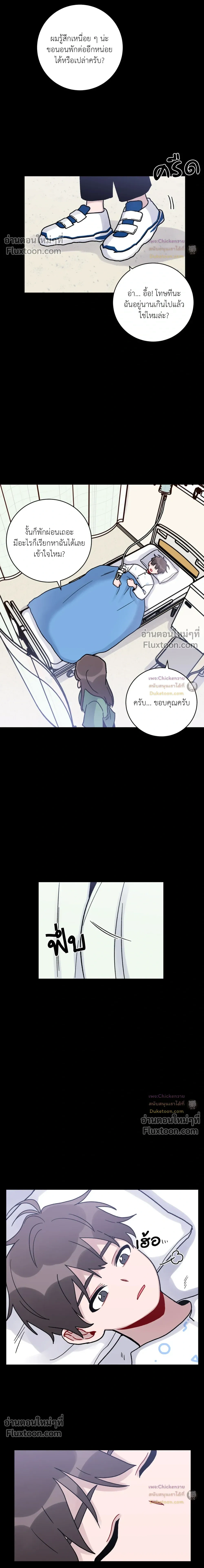 หน้าที่ 13
