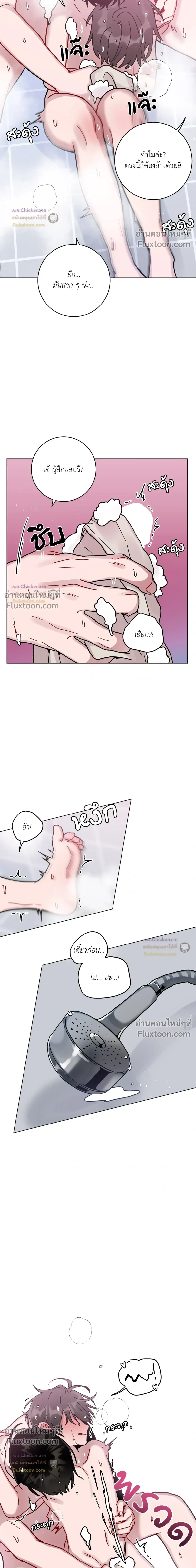 หน้าที่ 11
