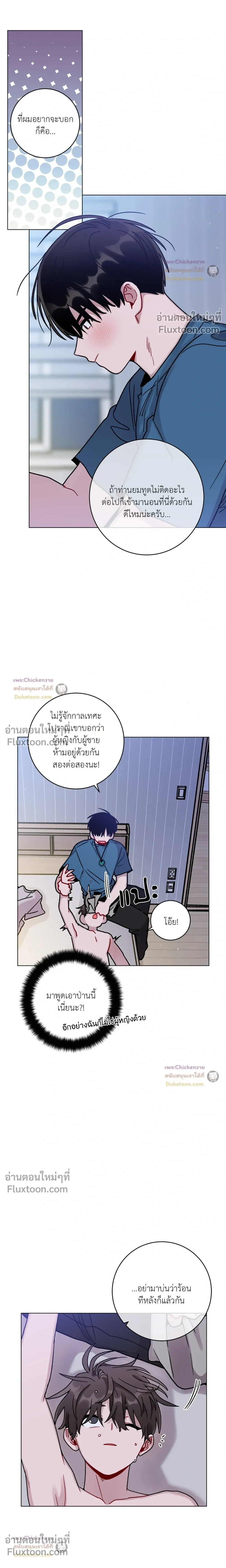 หน้าที่ 13