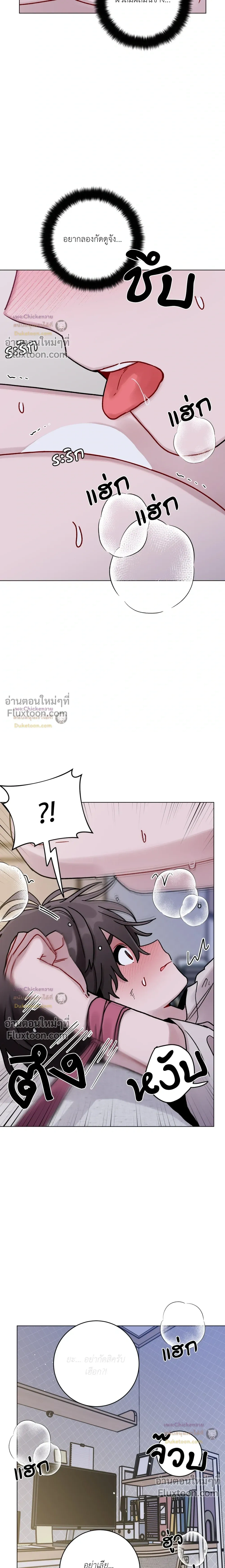 หน้าที่ 17