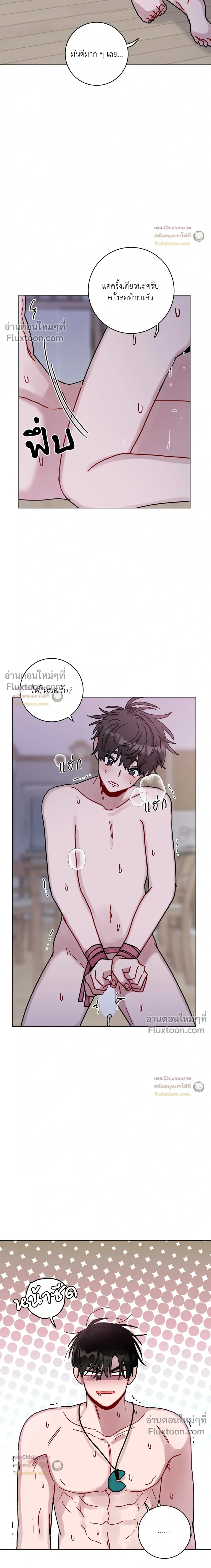 หน้าที่ 17