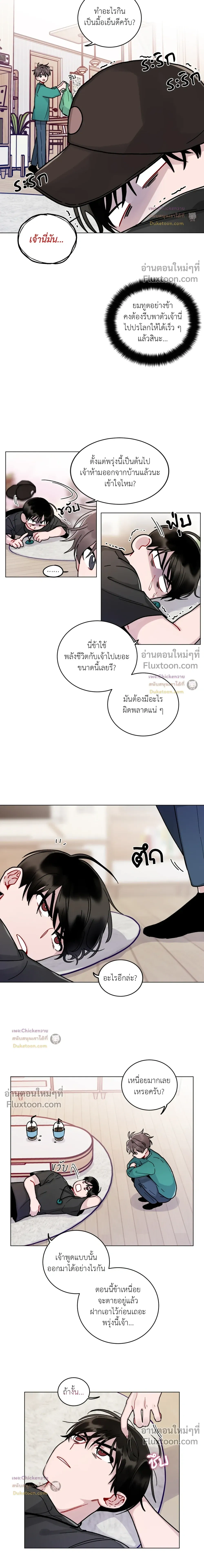 หน้าที่ 11