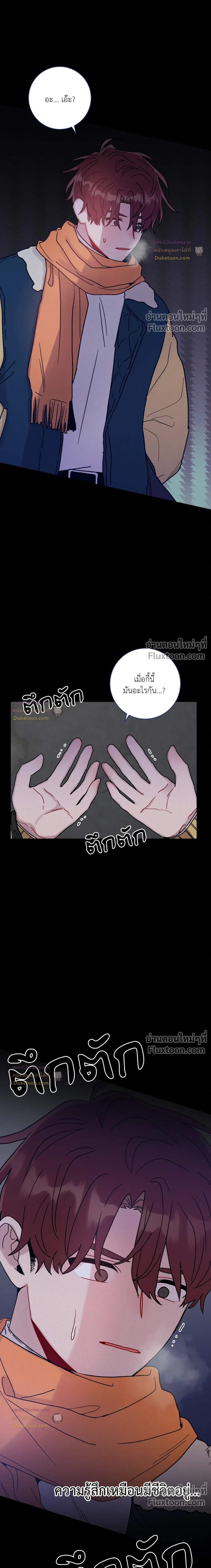 หน้าที่ 13