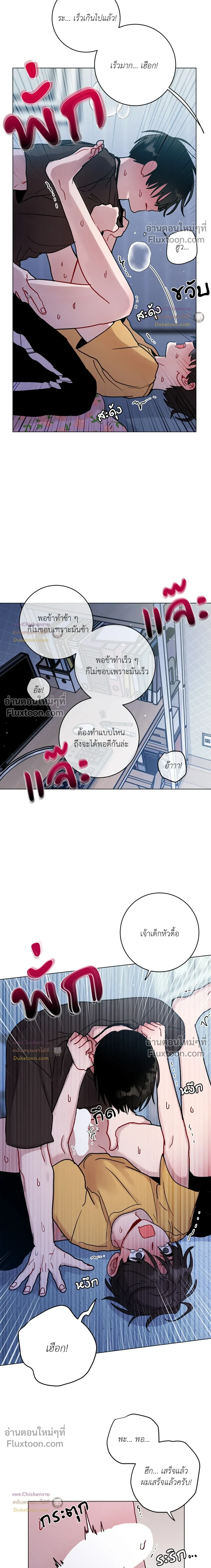หน้าที่ 13