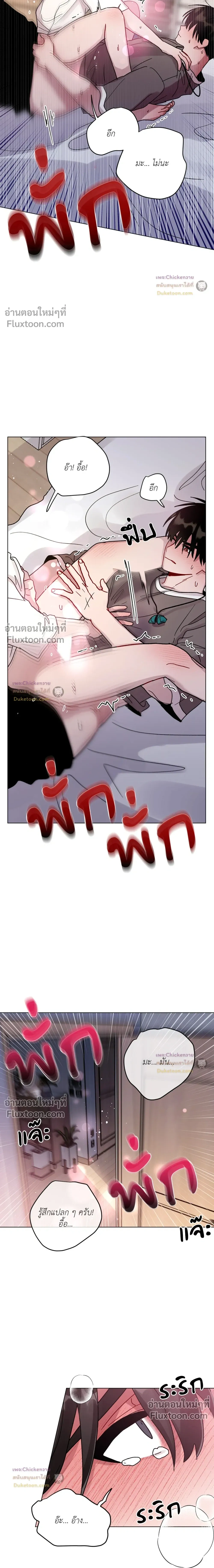 หน้าที่ 11