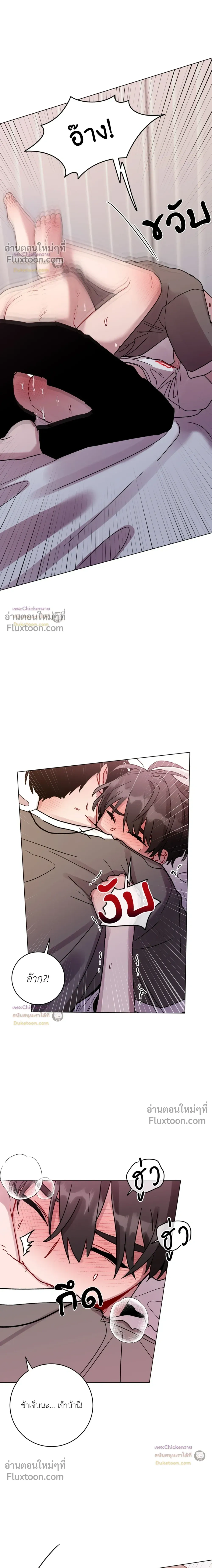 หน้าที่ 13