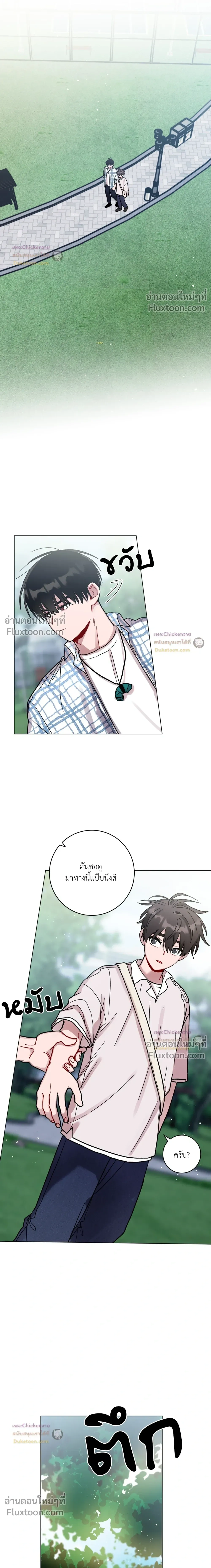 หน้าที่ 13