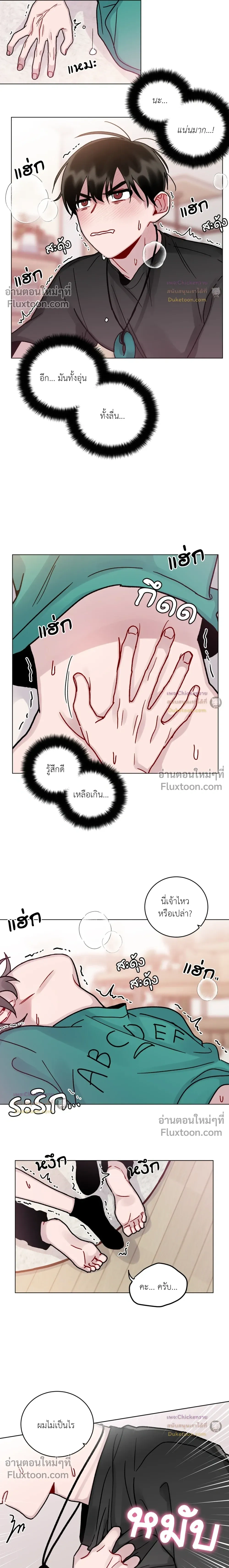 หน้าที่ 5