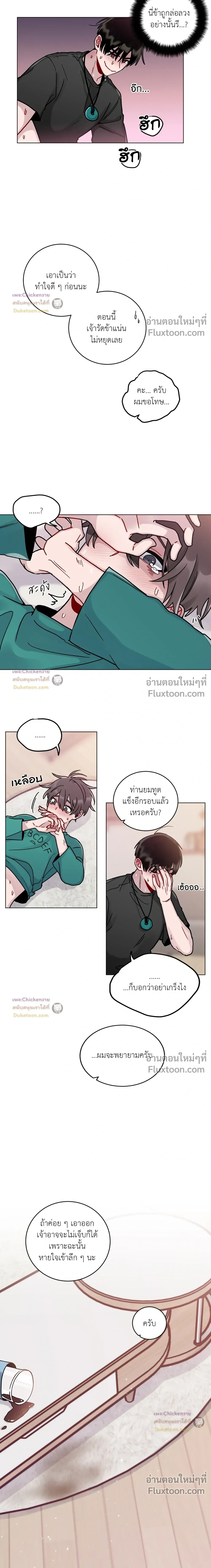 หน้าที่ 11