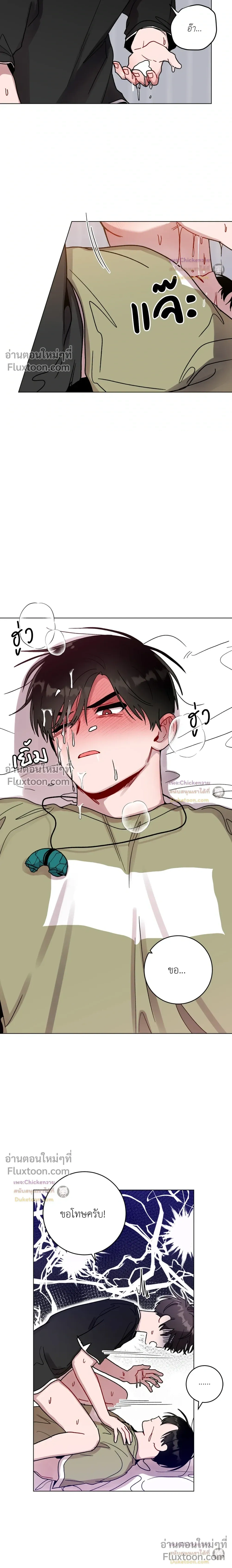 หน้าที่ 11