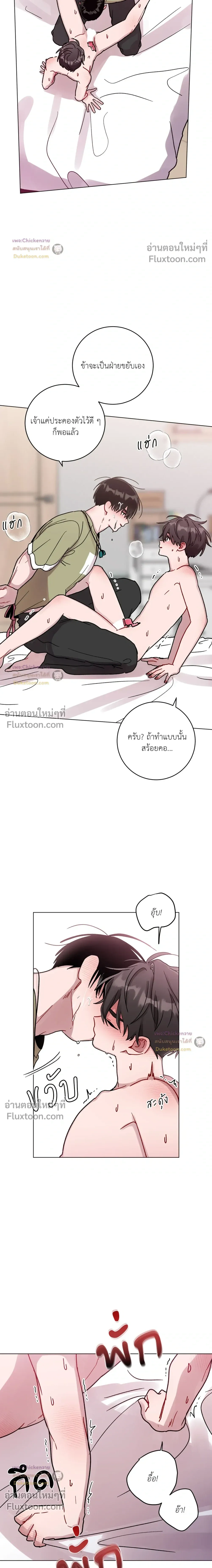 หน้าที่ 11
