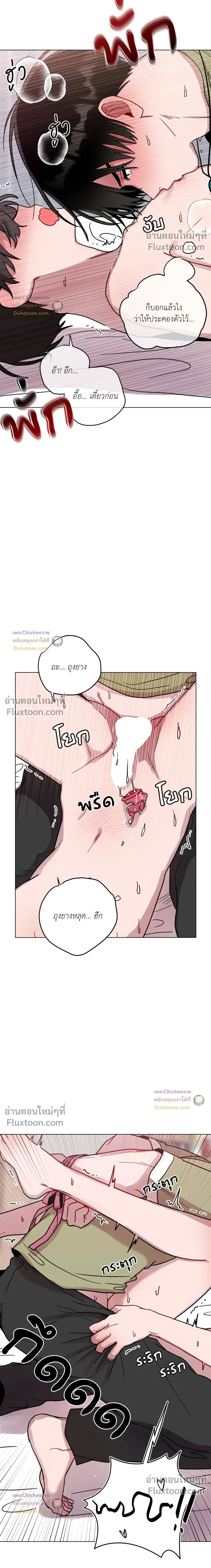 หน้าที่ 13