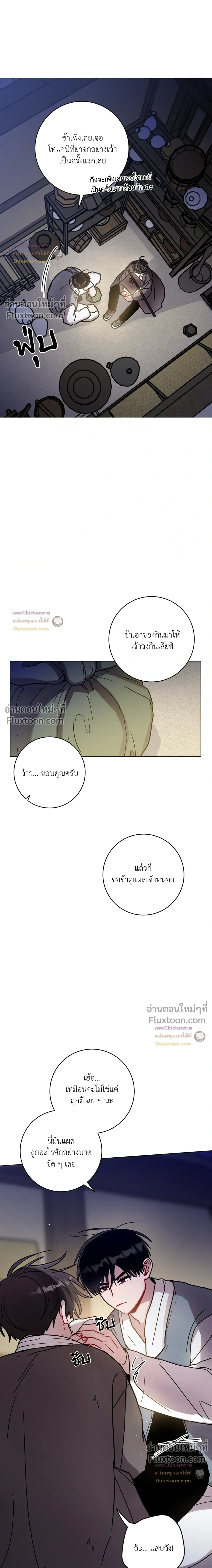 หน้าที่ 17